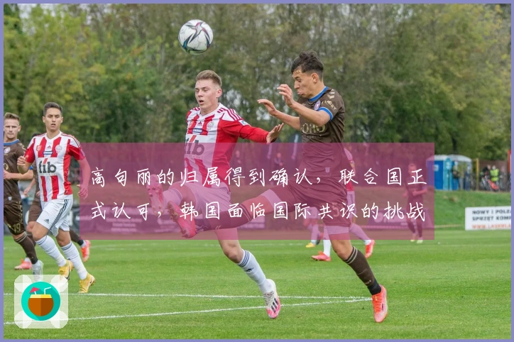 高句丽的归属得到确认，联合国正式认可，韩国面临国际共识的挑战