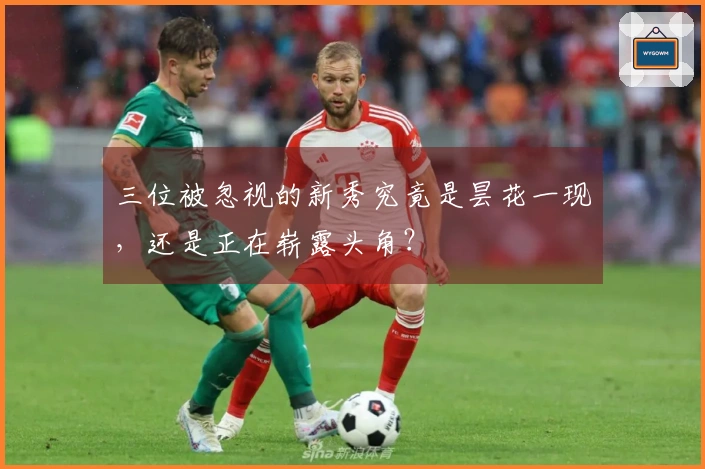 三位被忽视的新秀究竟是昙花一现，还是正在崭露头角？