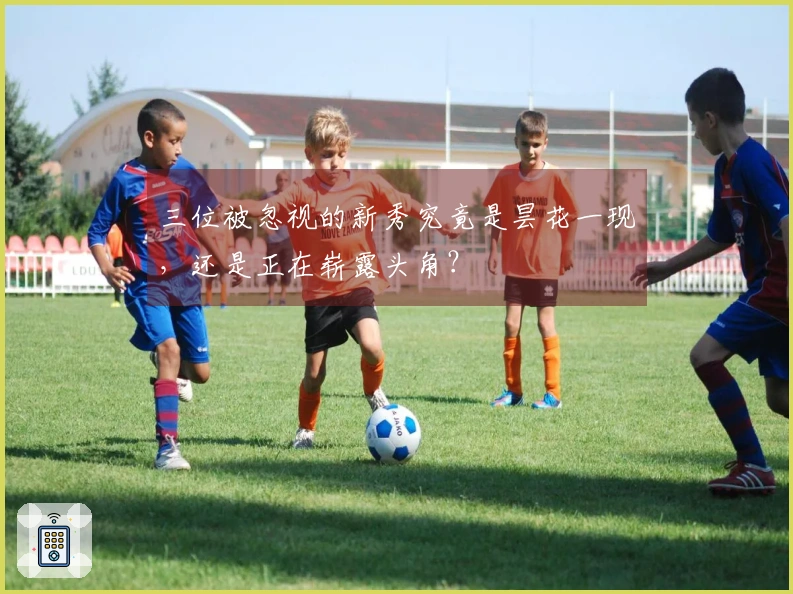 三位被忽视的新秀究竟是昙花一现，还是正在崭露头角？